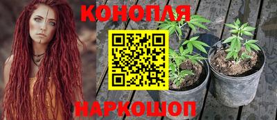 дмт Камышлов