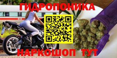 apvp Ипатово