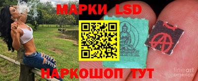 гидропоника Ирбит
