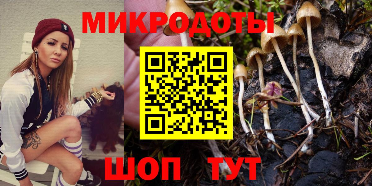 Псилоцибиновые грибы прущие грибы  Вход с VPN  Псилоцибиновые грибы Cubensis  Куйбышев 