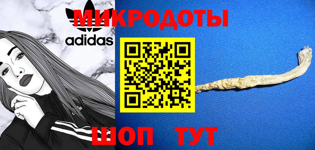 Галлюциногенные грибы Psilocybine cubensis Куйбышев